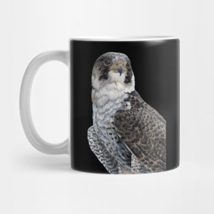 The Guardian - Peregrine Falcon with black background Mug